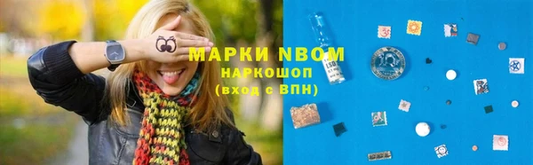 ECSTASY Елизово