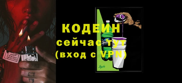 ГАЛЛЮЦИНОГЕННЫЕ ГРИБЫ Елабуга