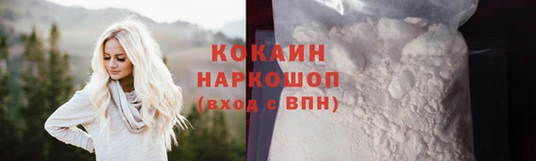 ECSTASY Елизово