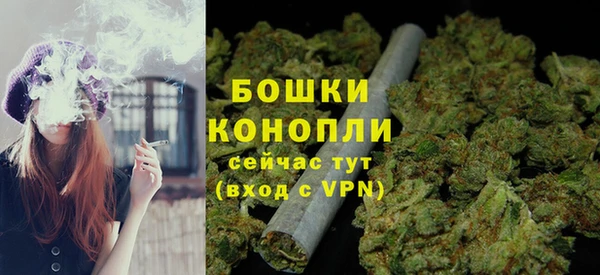 ГАЛЛЮЦИНОГЕННЫЕ ГРИБЫ Елабуга
