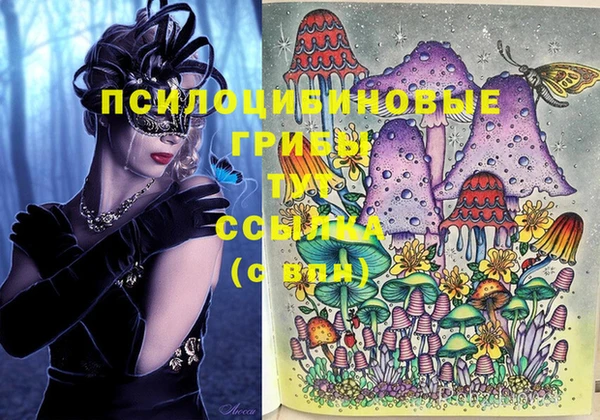 каннабис Ельня